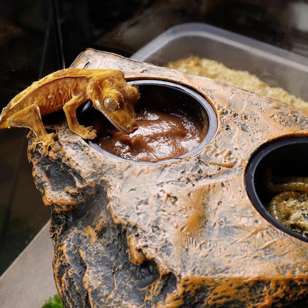 MiOYOOW Repisa magnética para reptiles, repisa de alimentación de geco de doble cuenco con 2 tazas de alimentación para ranas, tortugas, lagartos, reptiles y gecos