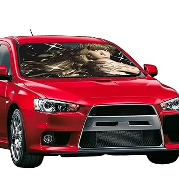浜崎あゆみ 車 シートカバー 25th Amazon | 浜崎あゆみ (3) カーシートカバー 2枚セット 車の