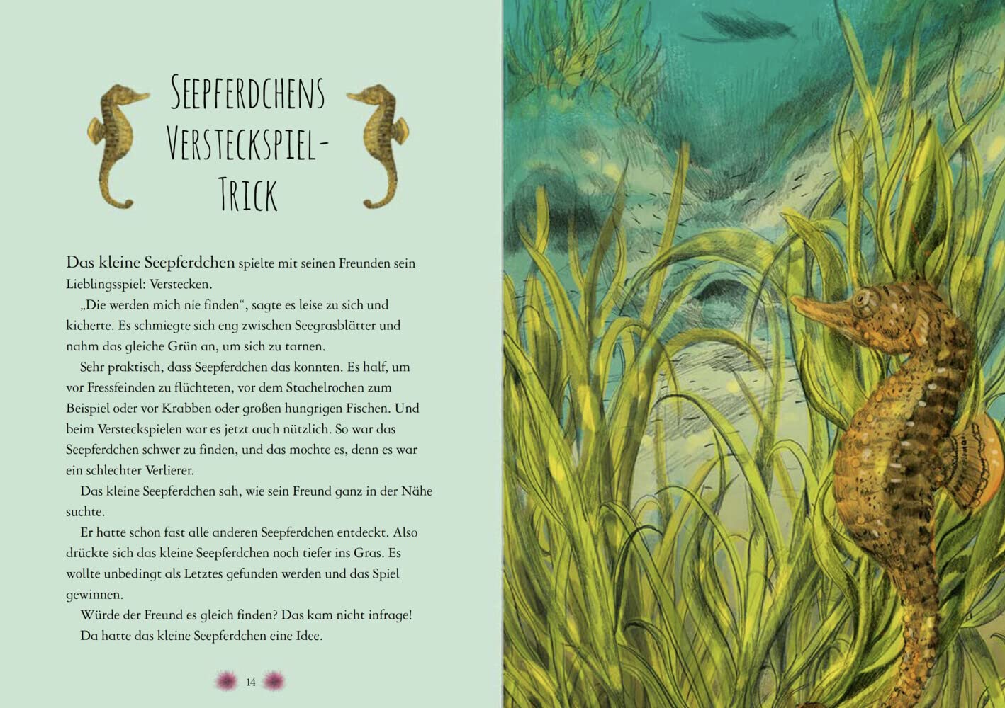 Wunderwelt der Tiere im Meer: Mit Geschichten wachsen