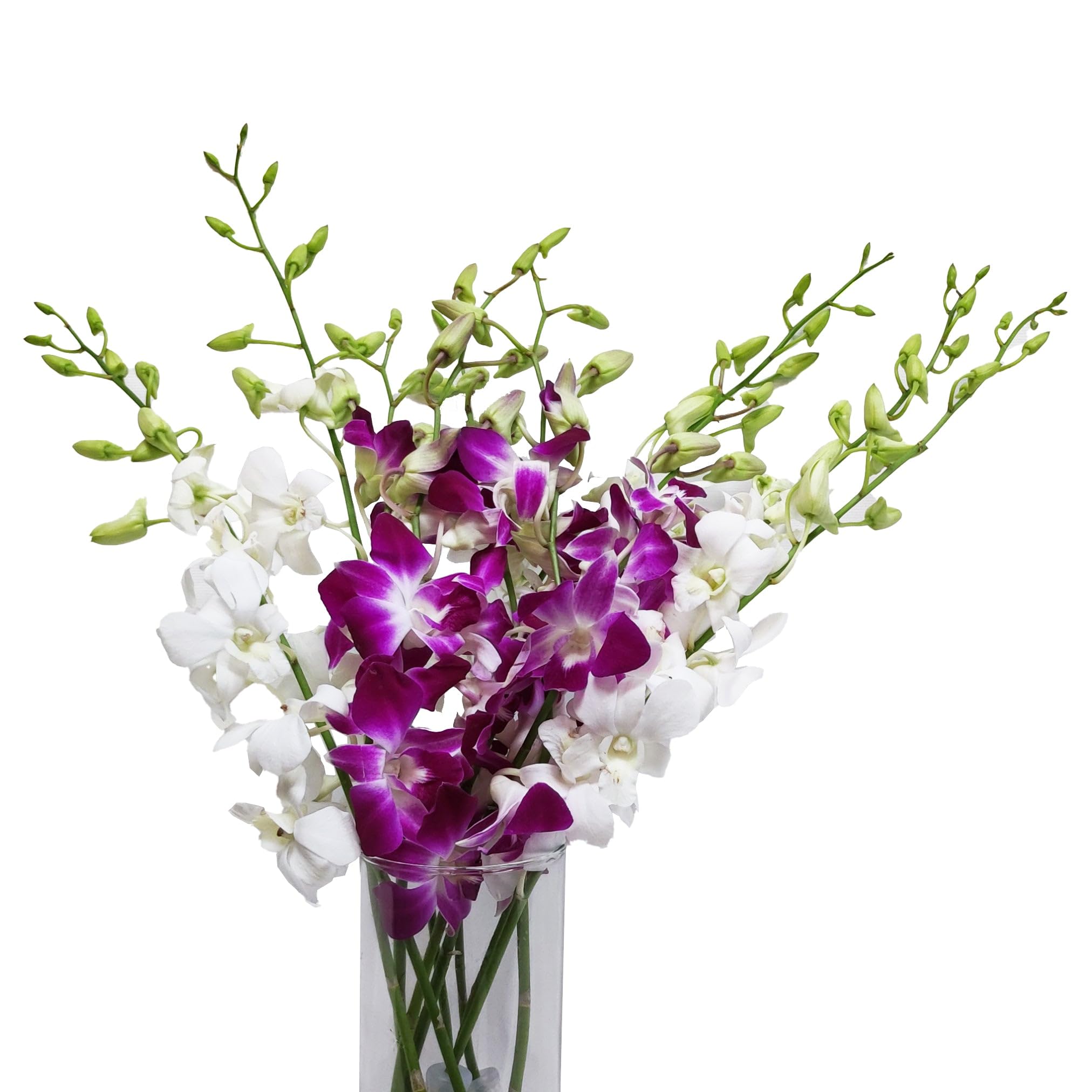 Amazon.com : Premium Exotic Kiasu Orchid Bouquet of Purple and