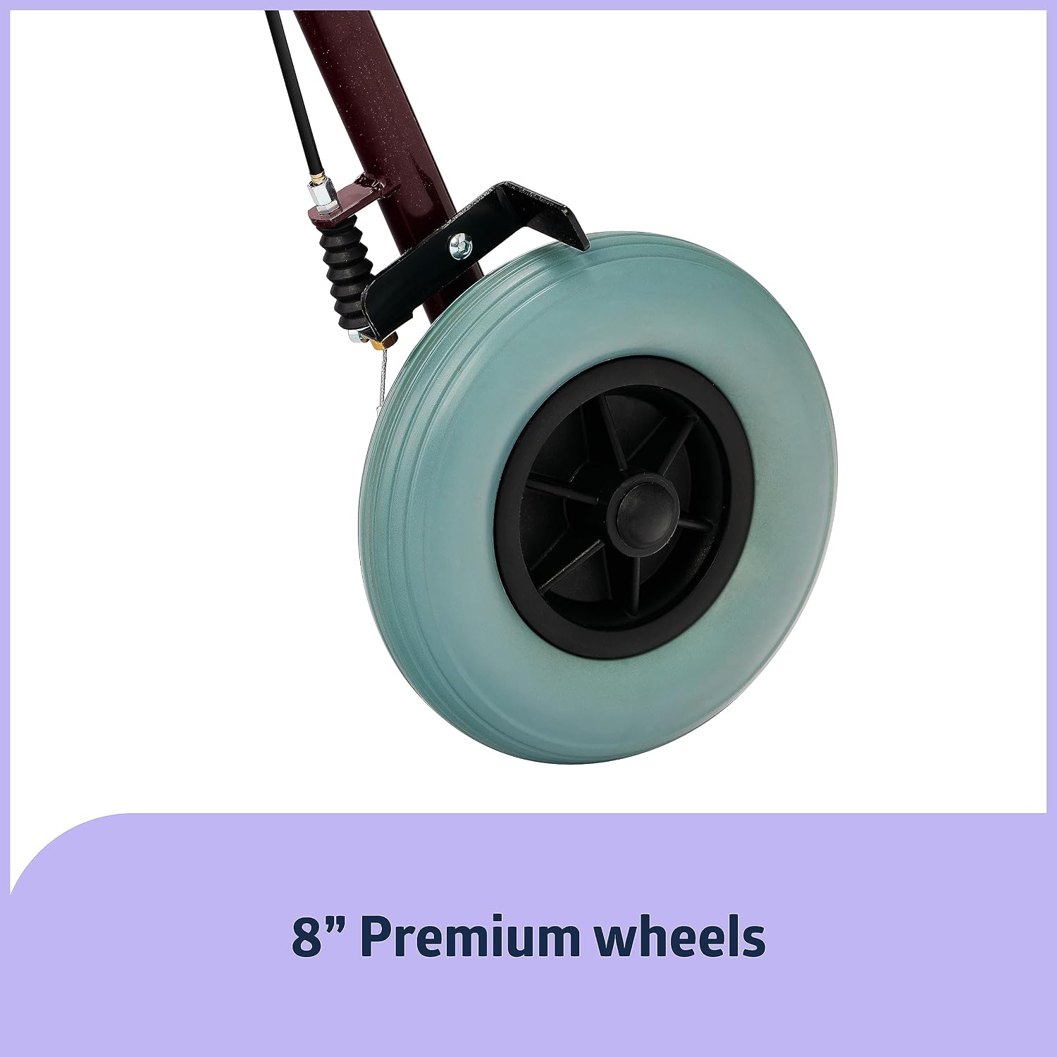 https://m.media-amazon.com/images/I/71aANhIazFL._SL1500_.jpg