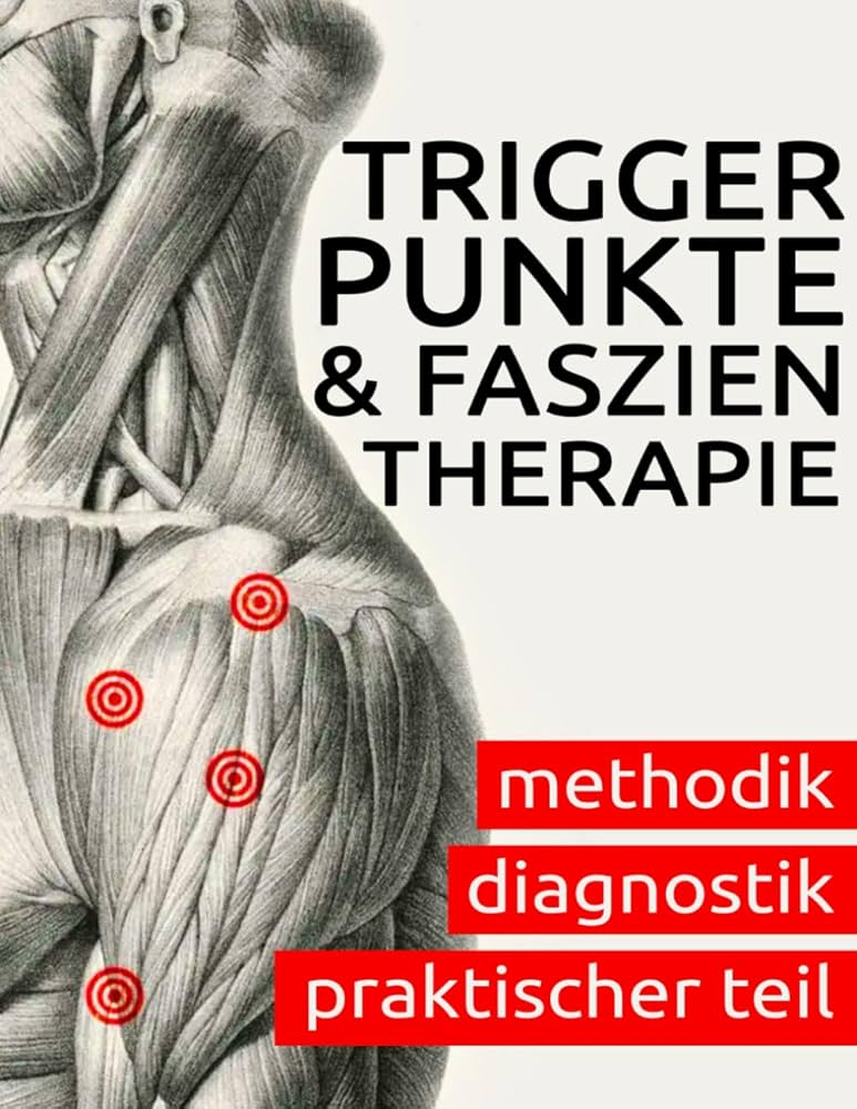 KY-CGX2-12 | Amazon.com.br