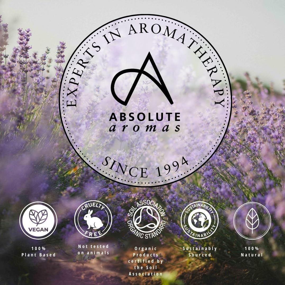 Absolute Aromas Thymian Sweet Oil 10 ml