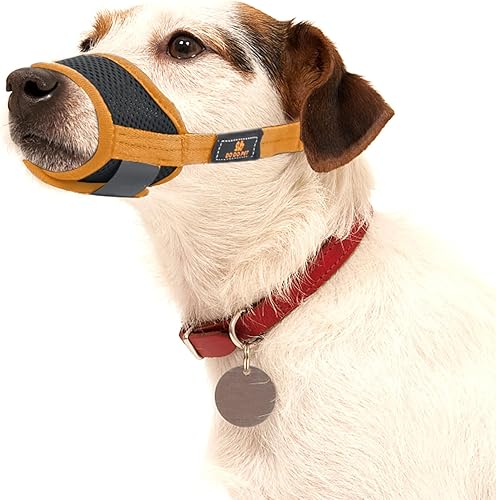 Prokei Bozal Perro Naranja