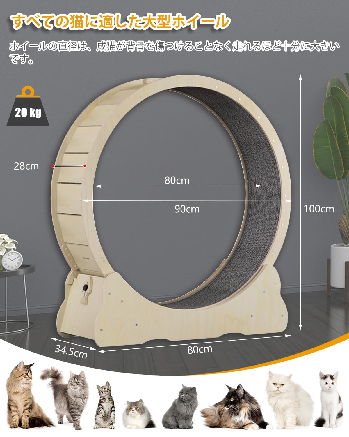 Amazon.co.jp: MIWOOYY キャットホイール 大型猫 回し車 90cm - 屋内猫