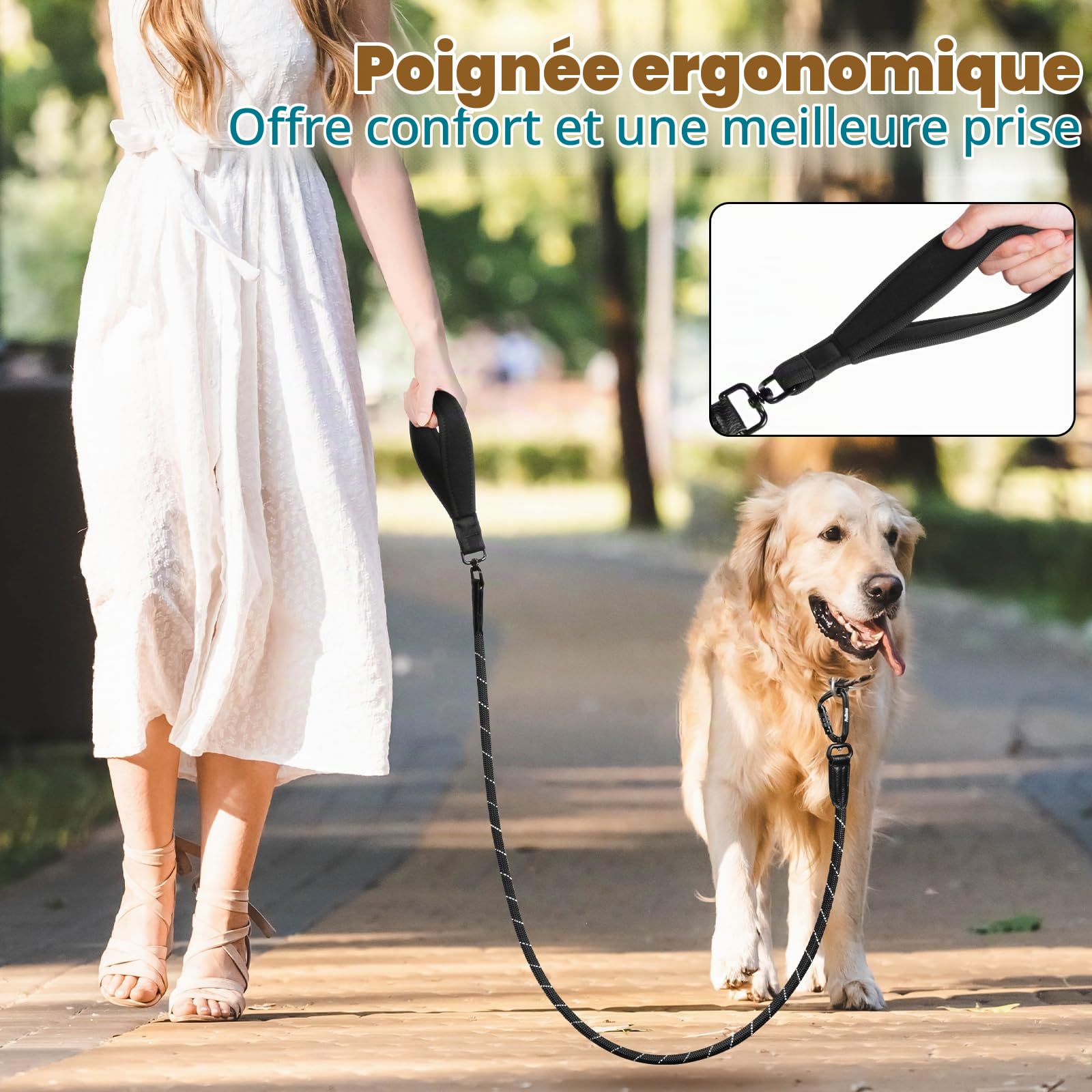 PetBonus Laisse pour Chien, 1.5m Longe pour Chien Robuste avec Mousqueton | Poignée rembourrée confortable, Réfléchissante, Nylon, Promenade, laisse d'entraînement, Adaptée Races Moyennes et Grandes