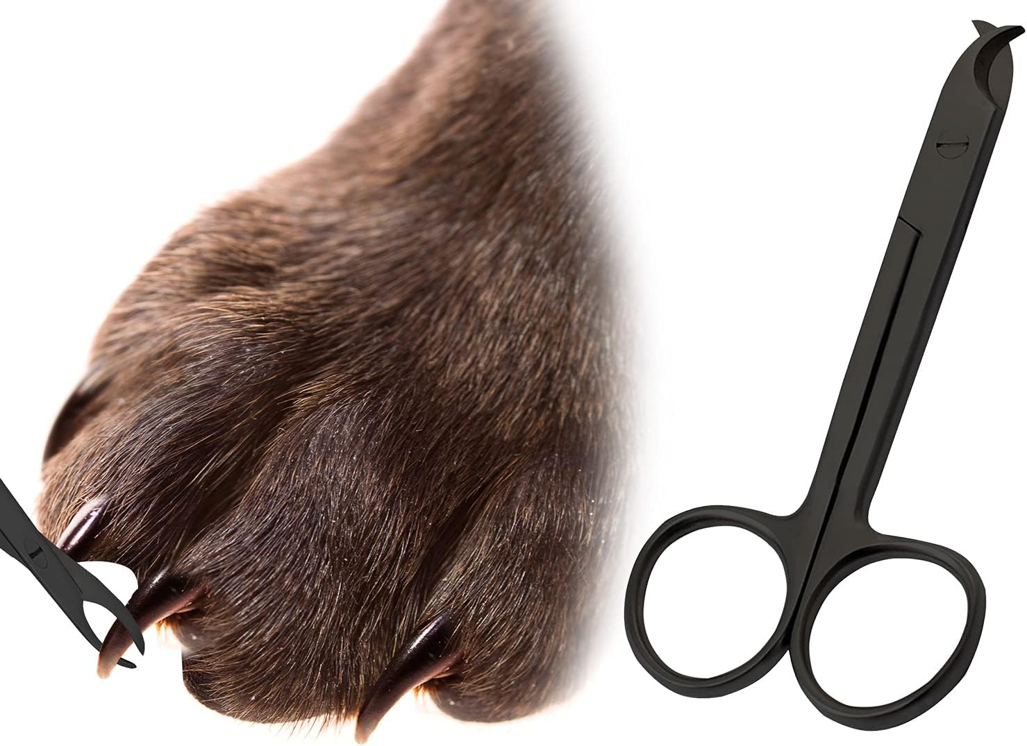 Pet Nail Clippers for Small Animals – Best Cat Nail Clippers & Claw Trimmer for Home Grooming Kit – Professional Grooming Tool for Tiny Dog Cat Bunny Rabbit Bird (Black)