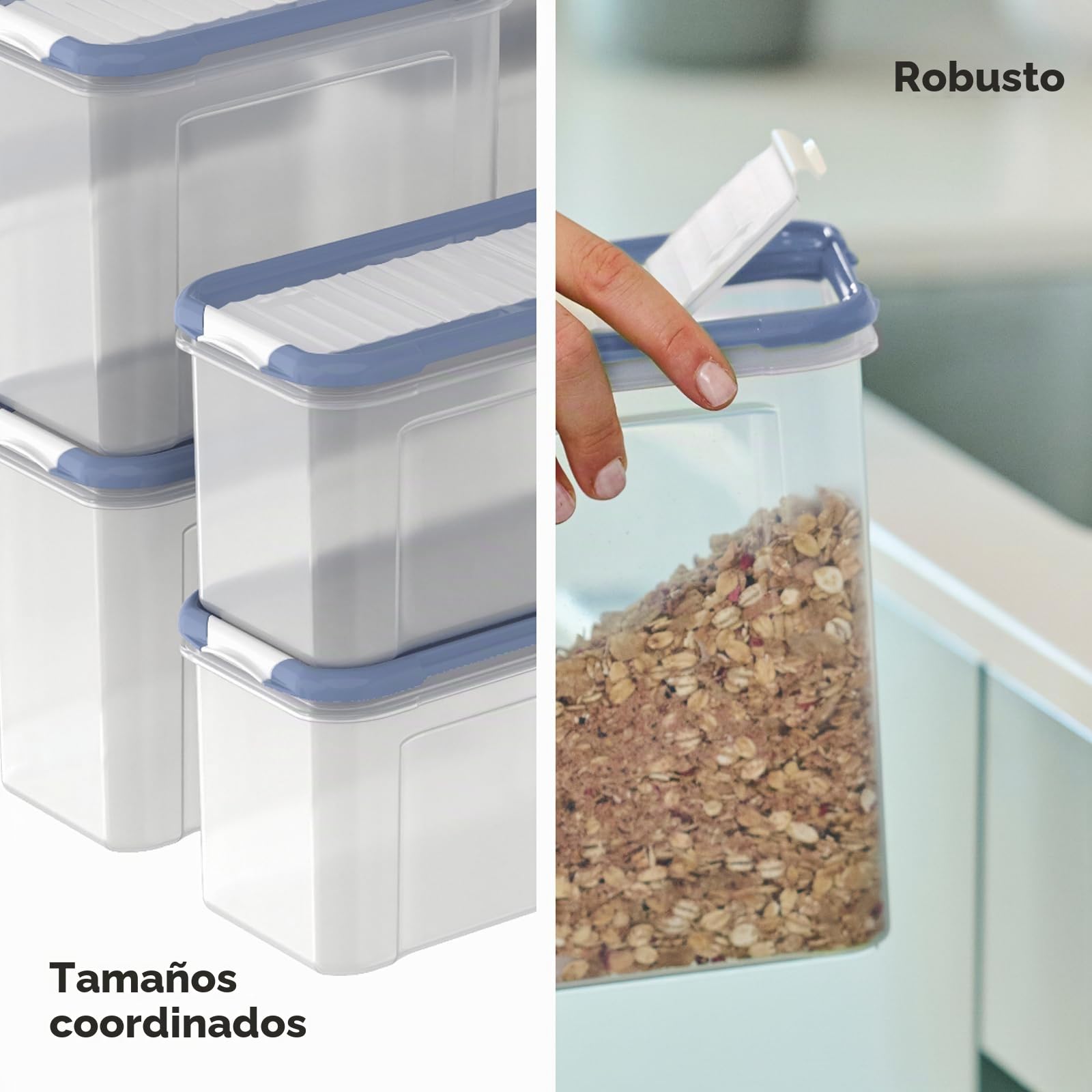 Rotho DOMINO - Juego de 24 tarros con tapa abatible hermética, color azul