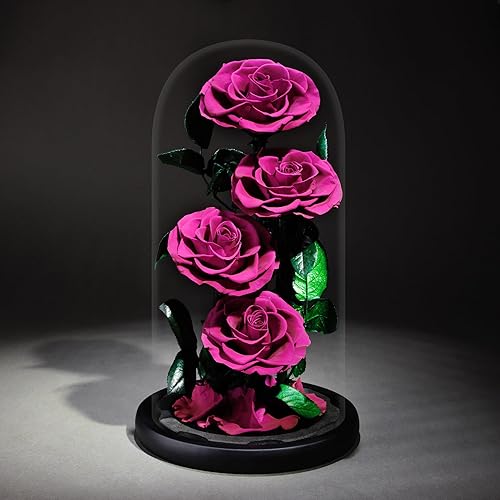 Miniatura 4 de Flores preservadas en cúpula de cristal, rosas reales para siempre, regalos para mujeres, flores para el día de San Valentín para ella, flores de