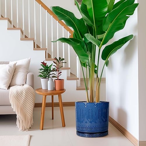 Miniatura 5 de Maceta de 12 Pulgadas para Plantas - Maceta de Cerámica para Plantas de Interior Maceta Grande para Plantas con Agujeros de Drenaje y Platillo