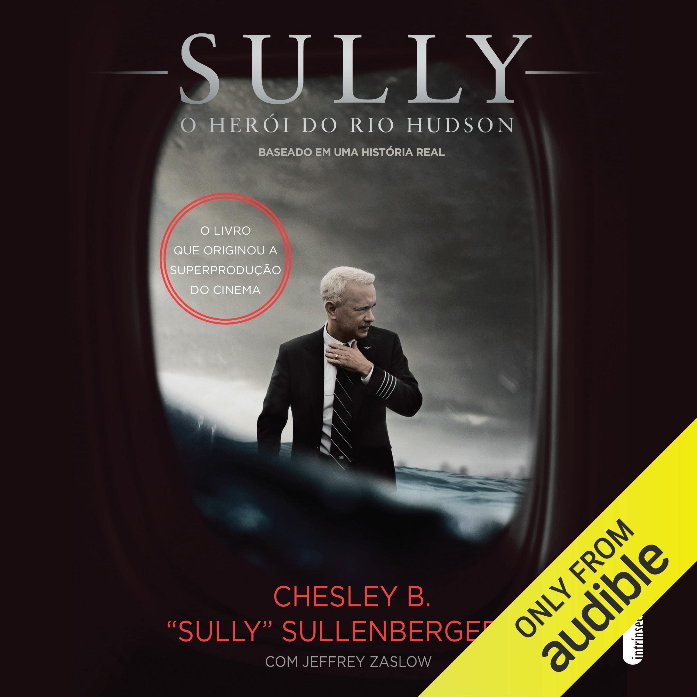 Sully: O herói do Rio Hudson