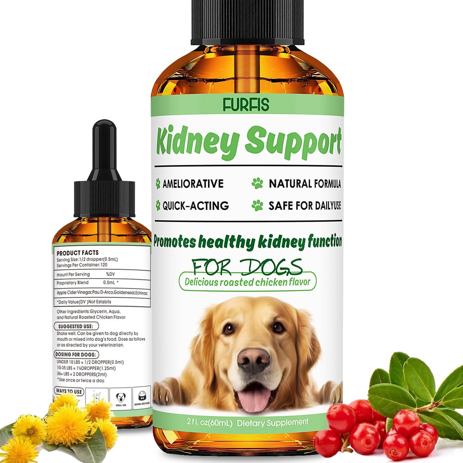 10 pack Kidney Support for Dogs - Enhance Kidney Health, Promote Fluid Balance & Energy Levels, Support Healthy Appetite - 60ml/2fl.oz