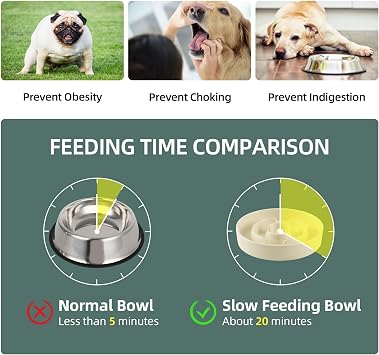 Havniva Elevated Slow Feeder Dog Bowls, Ceramic Dog Bowl Slow Feeder Set | 1.2 Cups Raised Slow Feeder Dog Bowl for Small Breed, 6.1 Dog Water Bowl with Wooden Stand, Puzzle Dog Food Bowl, Non-slip
