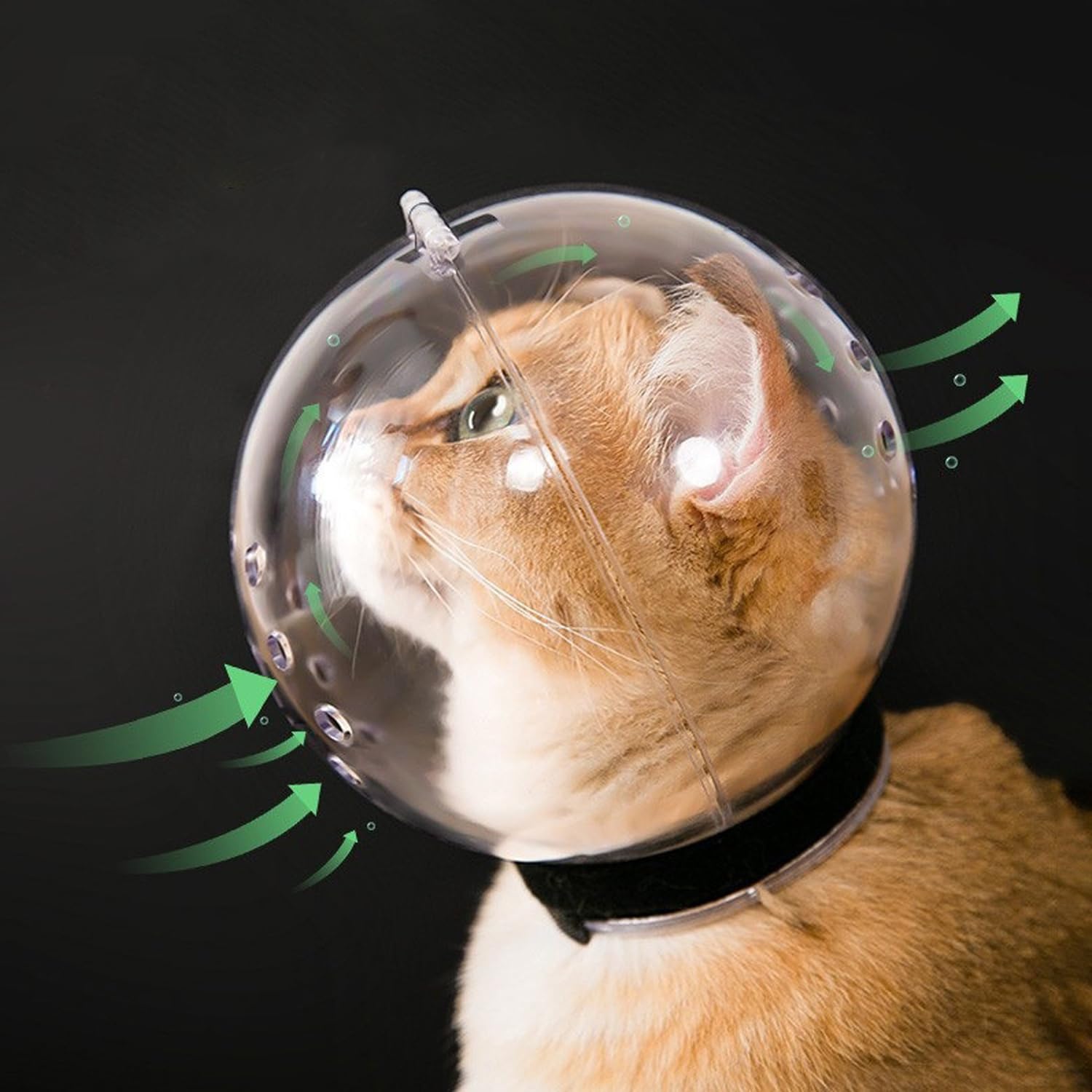 Maschera traspirante per gatti anti-morso per la toelettatura della museruola trasparente copertura della bocca