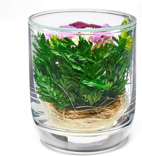 Miniatura 10 de In Flores Veritas Rosas conservadas recién cortadas en un jarrón de vidrio sellado, ramo de larga duración que se mantiene fresco durante más de 5