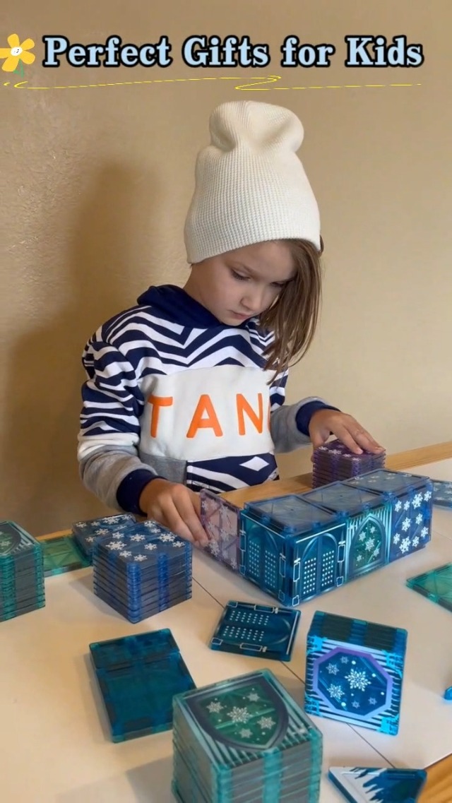 Gobidex 102Pcs 2-In-1 Magnetic Tiles Blocks Frozen Toys For Girls Princess  Frozen Castle Magnet Building Blocks For Toddlers Kids Build With Magwonder 