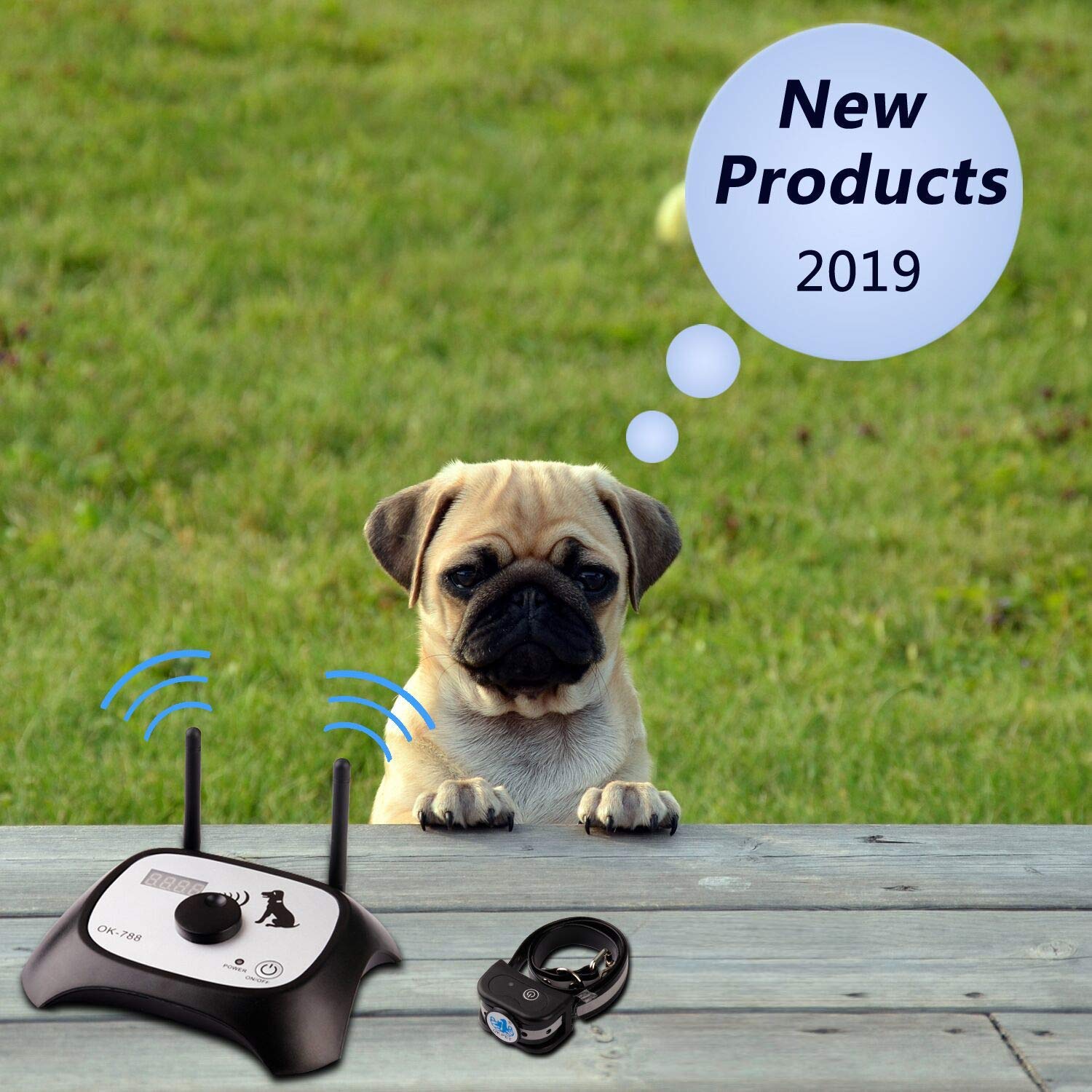 electric dog fence canada