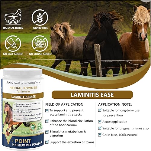 Miniatura 9 de V-POINT - Laminitis Ease - Suplementos de pezuñas para caballos - Producto para el cuidado de pezuñas de caballo a base de polvo natural - Ideal