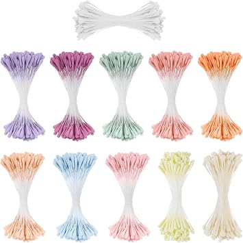 1100 Pcs Flower Stamens, 2mm Artificial Stamens, Double Heads Stamen for Flower Making, 11 Colors, Floral Stamen for Wedding Bouquet Party Decoration Scrapbook