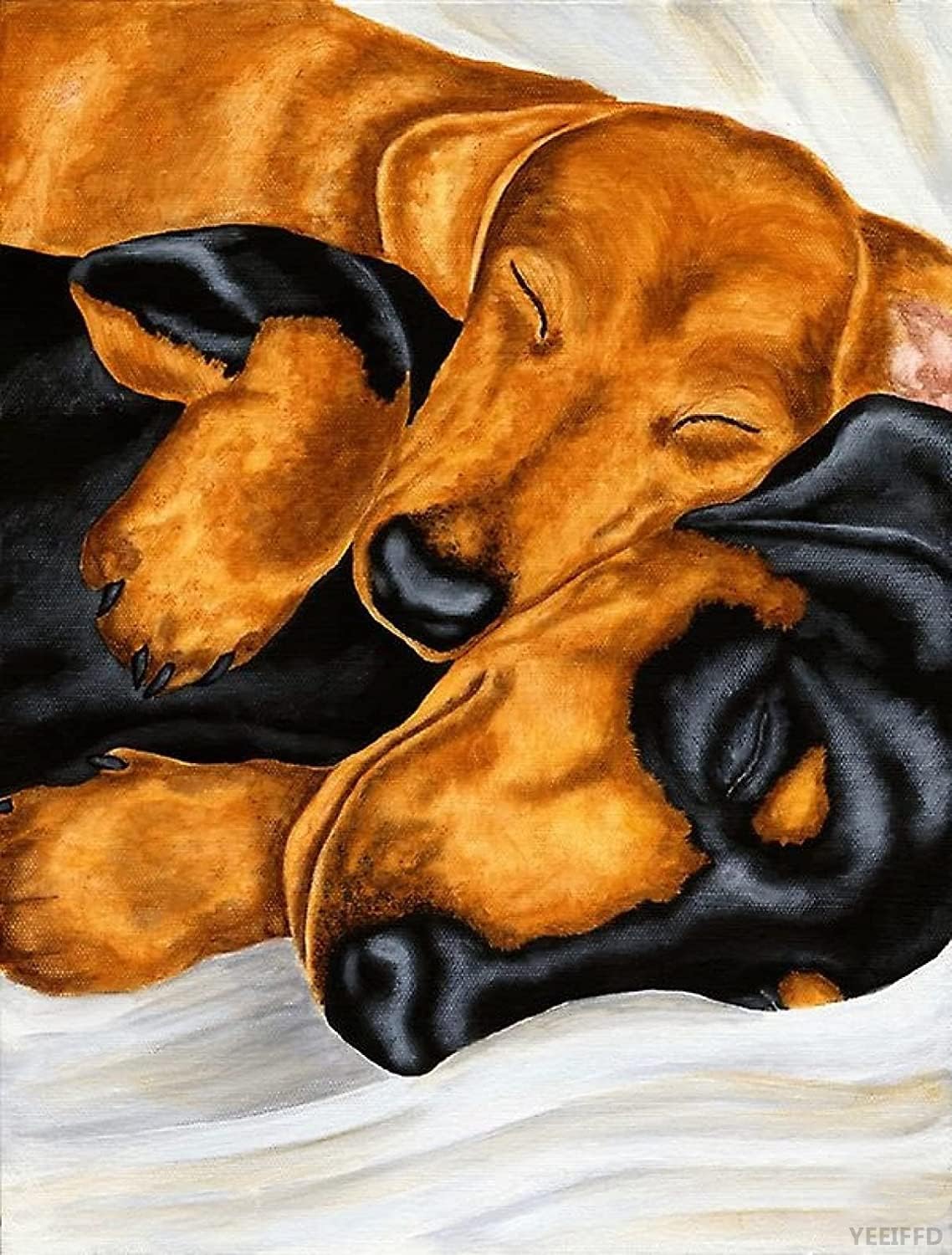 YEEIFFD DIY 5D Full Diamond Painting by Number Kits Two Dachshunds Sleeping Round Crystal Rhinestone Diamond Embroidery Arts Craft for Home Decoration -30×40cm