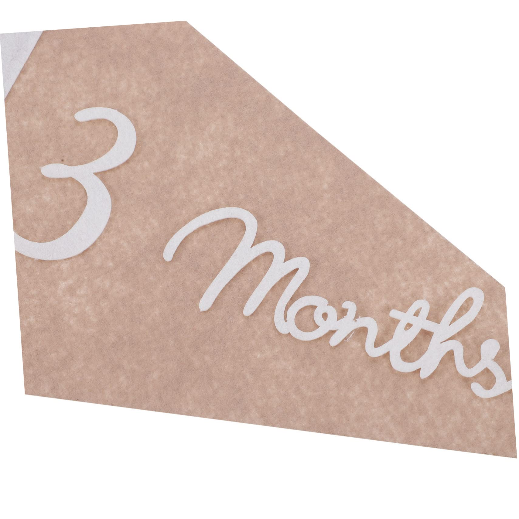 CORHAD Baby Milestone Month Sign Triangle Flag Banner Decorative Triangle Banner for Baby Month Celebration