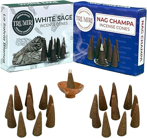 Miniatura 6 de Conos de incienso  Paquete combinado de 20 conos de incienso  10 champán Nag + 10 salvia blanca  Conos de insencia  Conos de incienso perfumados