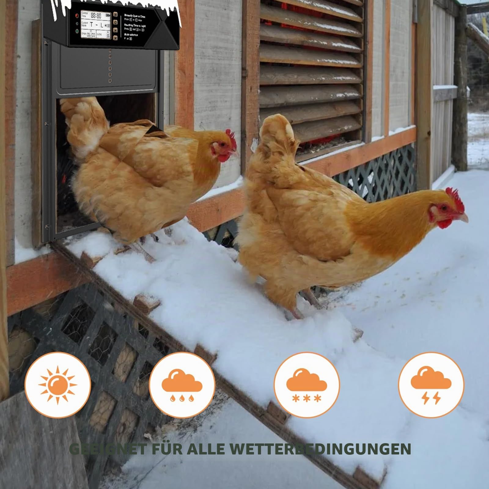 Automatische Hühnerklappe Solar, Elektrisch Hühnertür Türöffner, Automatischer Hühnerstall Türöffner, mit Anti-Pinch, mit Wasserdicht Display, mit Lichtsensor, mit Fernbedienung, mit Timing
