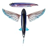 Slipstream 140 Flying Fish 5-1/2