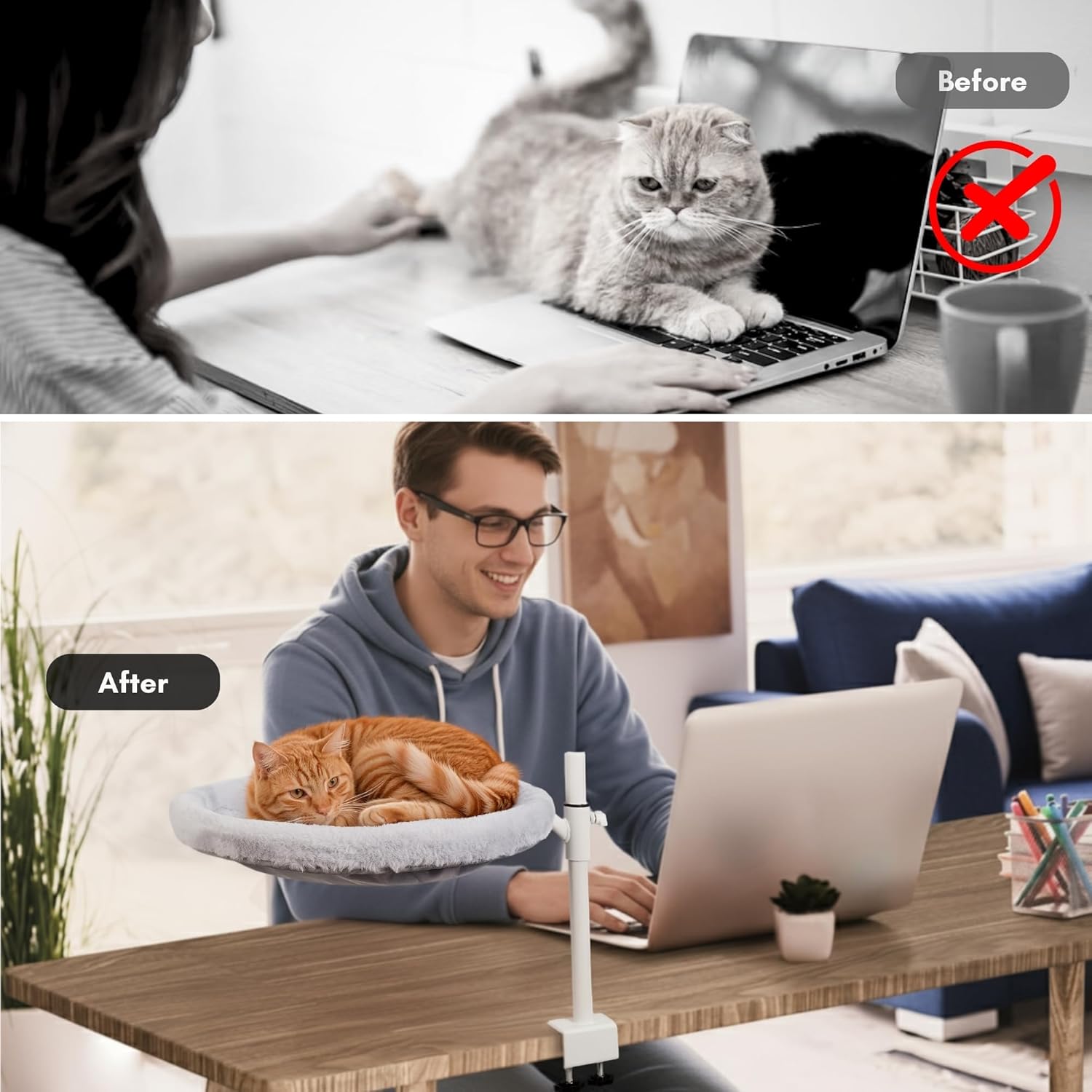 All Season Cat Perch with Catnip Pillow, Cat Desk Bed with 360° Rotation & Height Adjustment, 40LBS Capacity – Summer & Winter Washable & Removable Nests