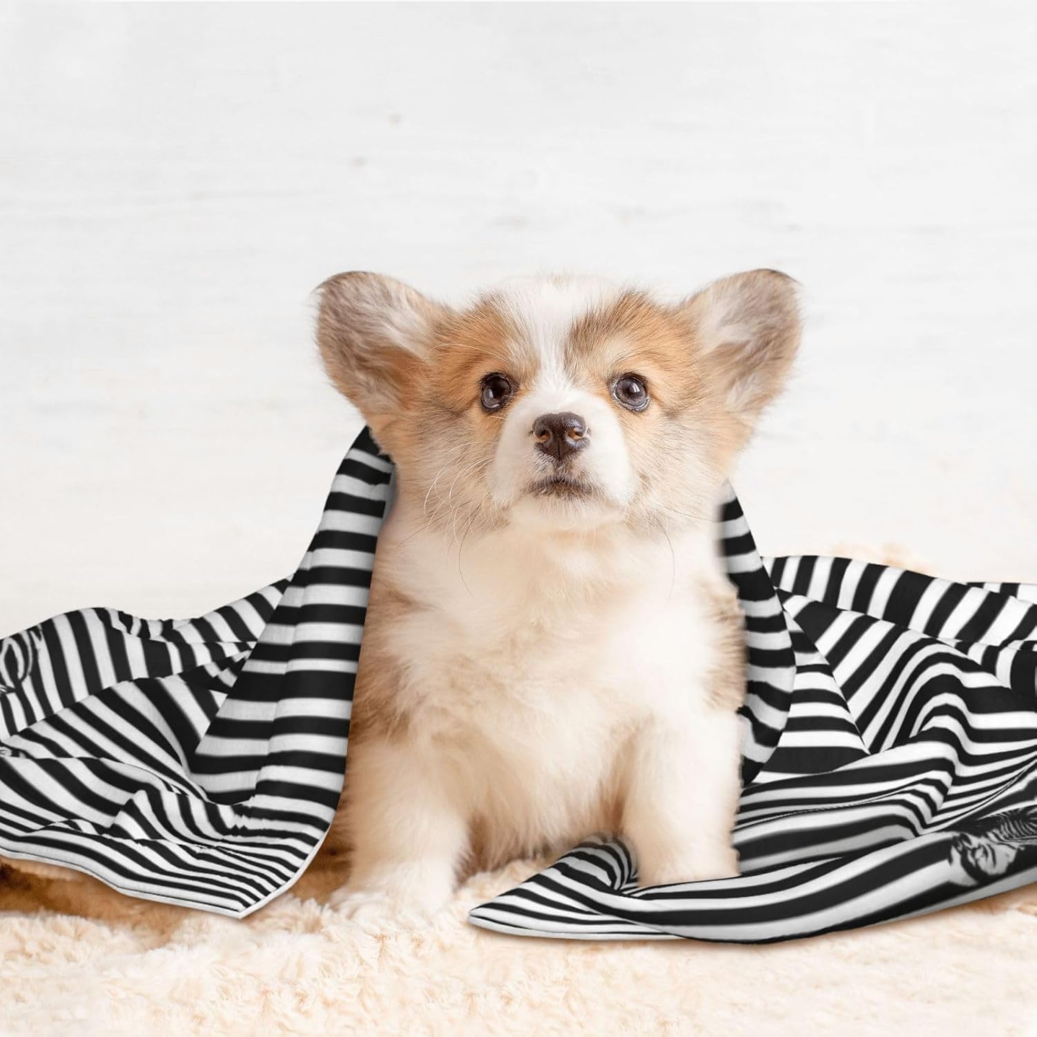 Optical Zebra Illusion Print Soft Plush Pet Blanket, Washable Dog Blanket, Cat Fleece Throw, Puppy Bed Crate Mat & Sofa Couch Protector - Large