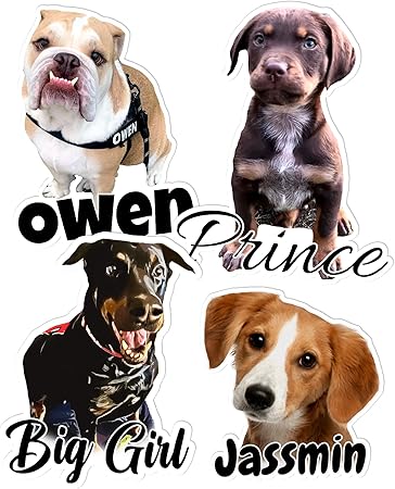 Custom Photo Pet Sticker Personalized Your Pet Photo Dog Cat Name Sticker Die Cut Waterproof Vinyl Sticker