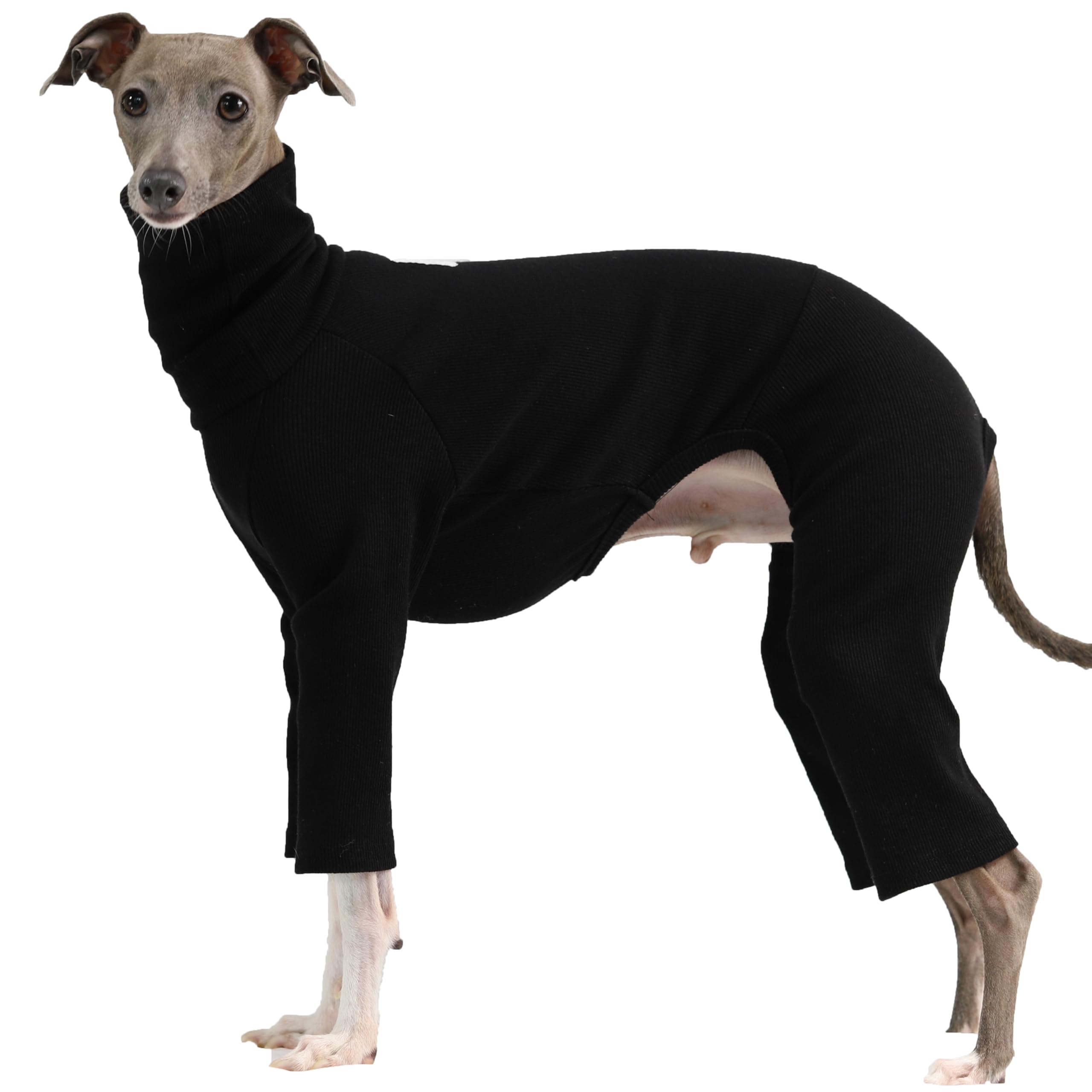D Doggy Star Italian Greyhound Clothes Stretchable Onesie Whippet for Dog (XL,Ribbed Black) — image 1