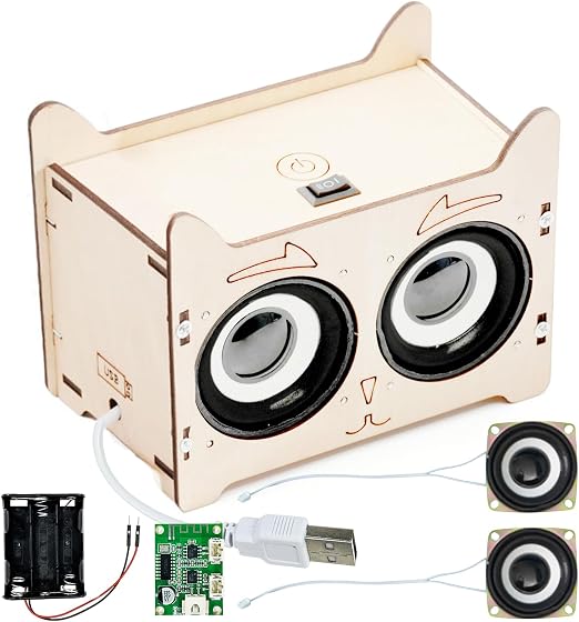 Booaee Enceinte Bluetooth à Construire en Bois