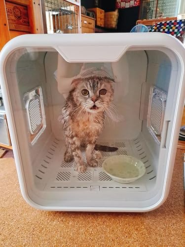 Amazon | PETTOM ペットドライルーム ペットドライヤー ペット乾燥機