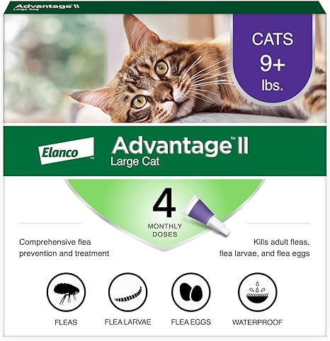 Advantage II Large Cat Vet-Recommended Flea Treatment & Prevention | Cats Over 9 lbs. | 4-Month Supply