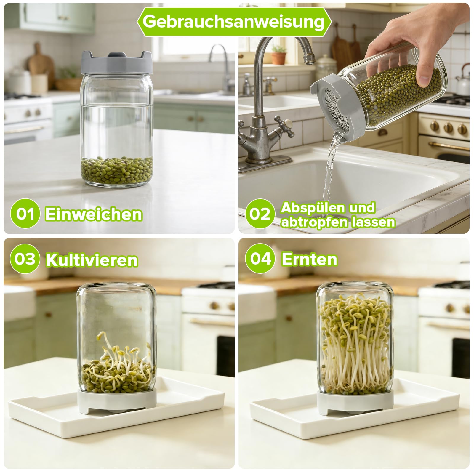 Lot De 3 Bocal De Germination, 900ml Pots Mason à Large Ouverture Couvercles De Germination, Pots De Germination Lot, Plateau à éGouttage Et Brosse Nettoyage, pour La Luzerne Potager Familial