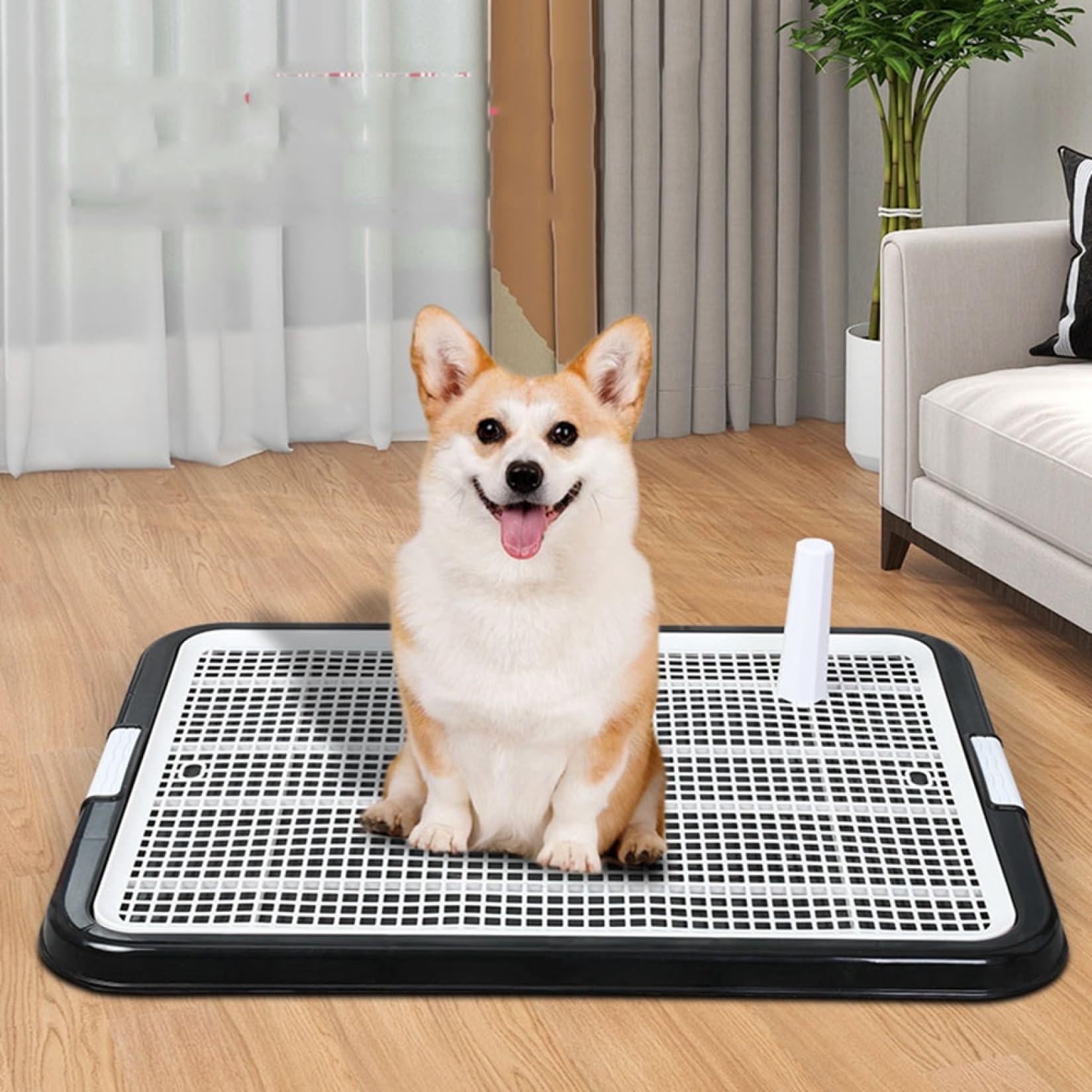 Amazon | 犬 トイレ 犬 トイレトレー ペット 犬用トイレ（42cm×42cm
