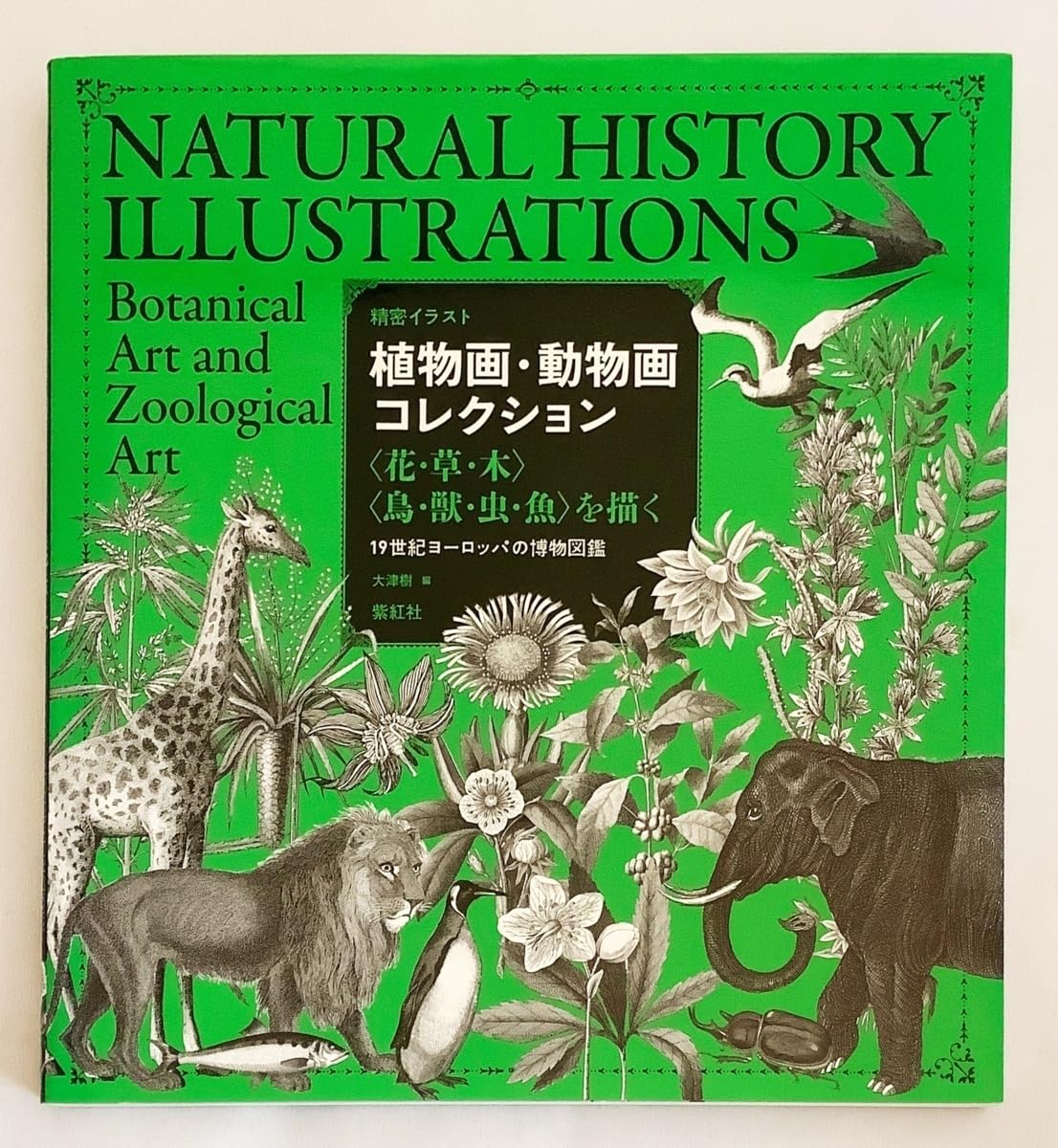 Amazon.co.jp: 植物画動物画コレクション : 花草木鳥獣虫魚を描く : 19