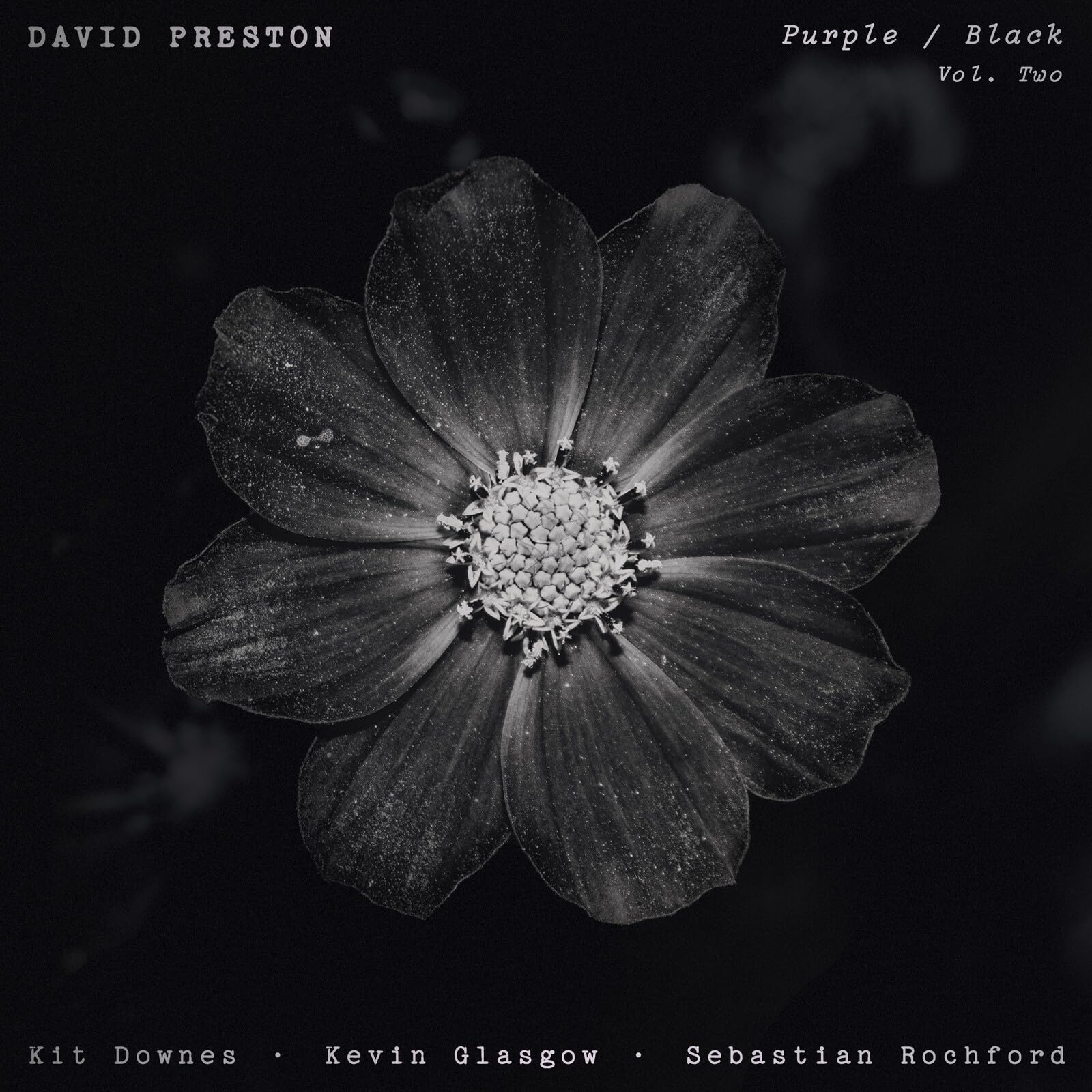 Purple/Black Volume 2 [VINYL]