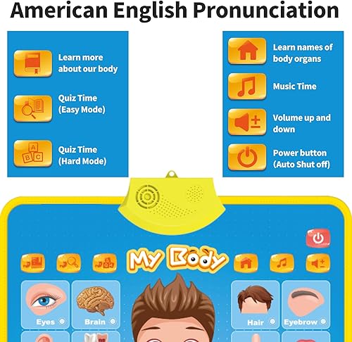 Miniatura 2 de My Body - Póster educativo interactivo para niños pequeños y niños para aprender partes del cuerpo, órganos, músculos y huesos, 16 x 22 pulgadas