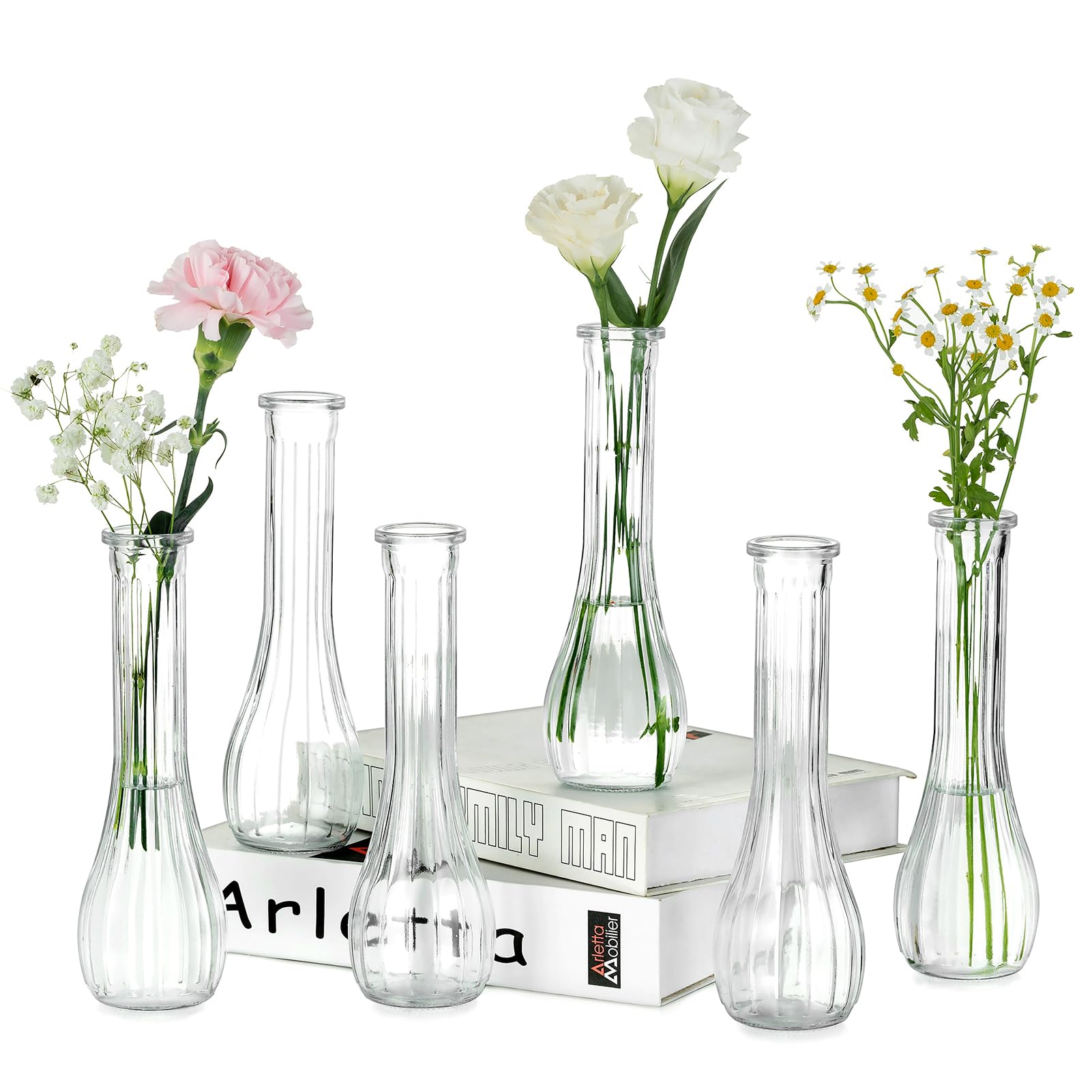 Soliflore en verre transparent NUPTIO lot de 6 grands vases de 21,7cm stables