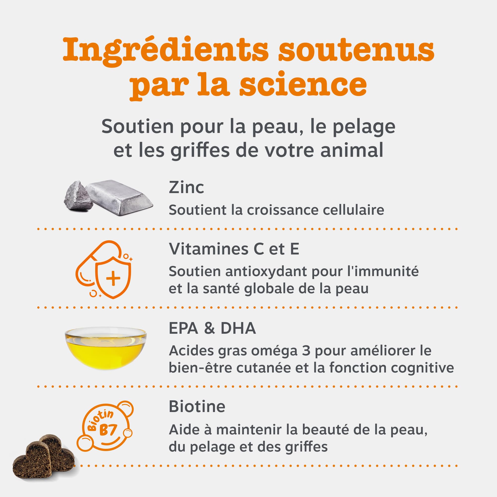 Zesty Paws Santé Peau et Pelage pour Chiens | Soutien Peau Saine et Pelage Brillant | Compléments pour Chiens sous Forme de Bouchée Gourmande | Aliments Complémentaires| Huile de Poisson - 90 unités