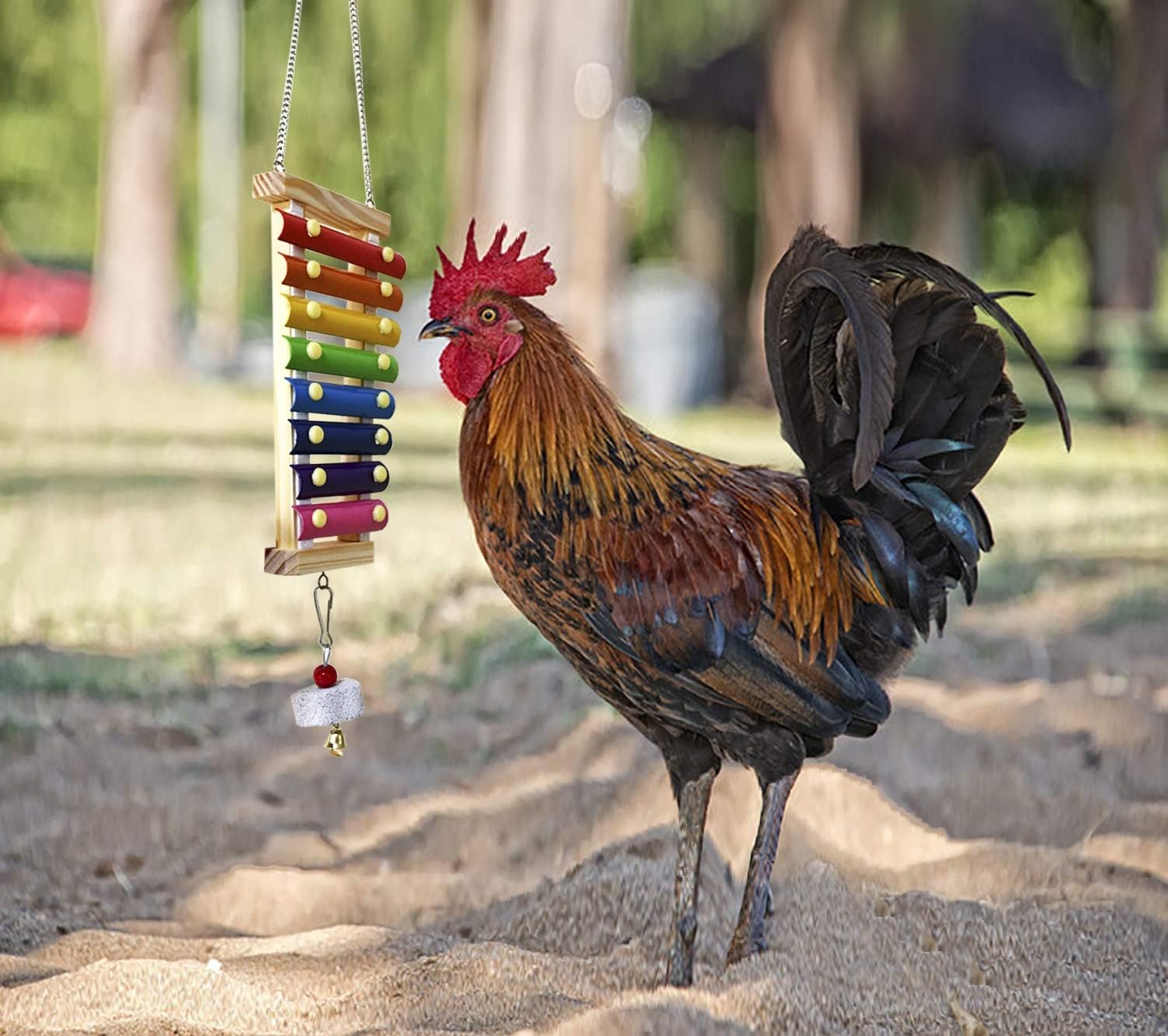 Chicken Xylophone Toy for Hens Suspensible Wood Xylophone Toy with 8 Metal Keys Chicken Coop Pecking Toy with Grinding Stone (Rainbow Color)