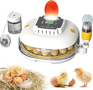 Chicken Egg Incubator 22-28 Eggs, Automatic 360 Egg Turner and Drying, with Digital Display, Auto Temperature Humidity Control for Hatching Chicken Duck Quail Eggs, Poultry Incubator