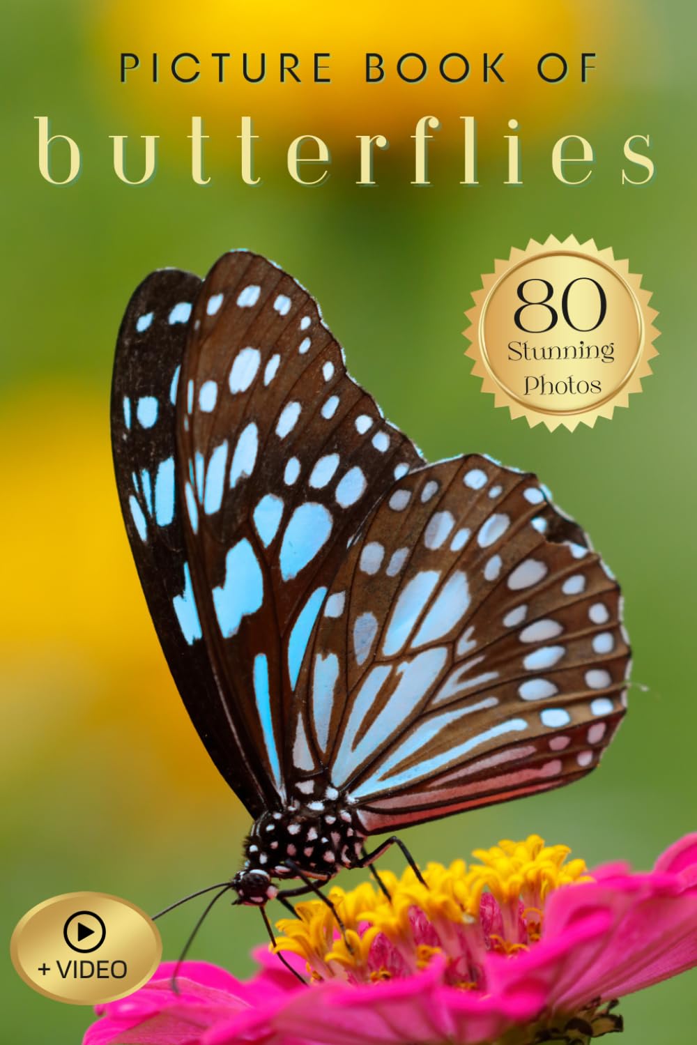 Picture Book of Butterflies: 80 Stunning Photos & Facts with Video, for Dementia Patients and Seniors with Alzheimer's (Uplifting Picture Books)