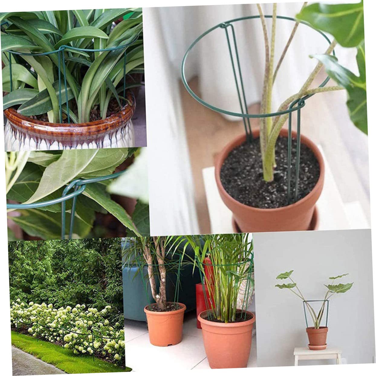 POPETPOP Tuteurs Demi-Ronds Réutilisables en Fer Vert Lot de 6 Soutien Vertical pour Plantes Grimpantes au Jardin