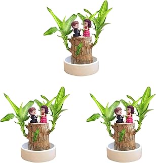 Brazilian Wood Mini Brazil Wood Brazilian Wood Hydroponic Potted Plant Stump (3, Black Proposal)