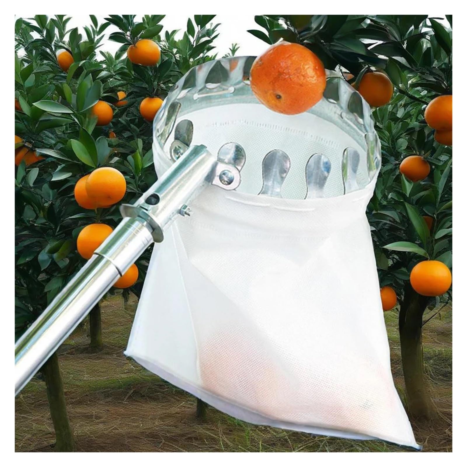 Recogedor De Frutas Recolector de frutas de 3,89 m, con pértiga telescópica ajustable, herramienta práctica for huertos, jardín, for manzanas, mangos, limones y naranjas.