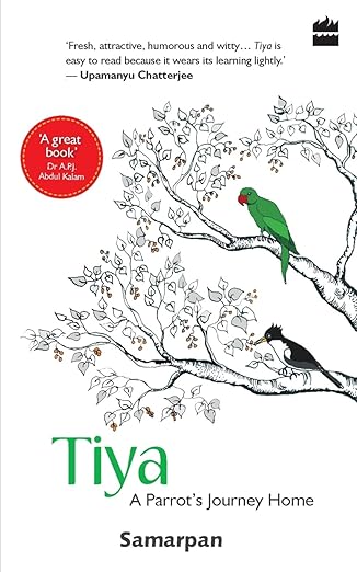TIYA Parrot Journey Home