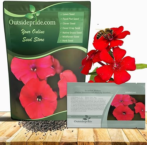 Miniatura 1 de Outsidepride Semillas anuales de flores silvestres Scarlet Phlox de 12 lb para plantar